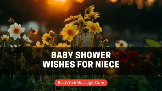 Baby Shower Wishes for Niece