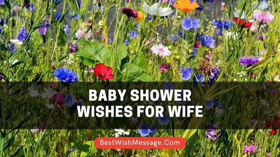 Baby Shower Wishes for Wife