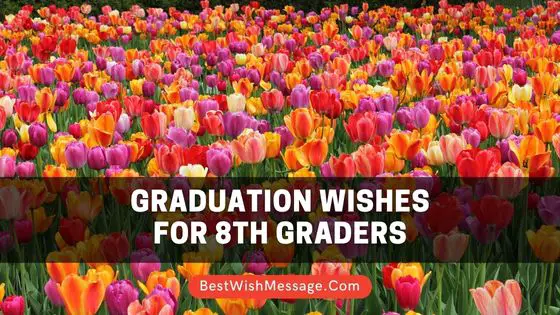 Graduation Wishes for 8th Graders