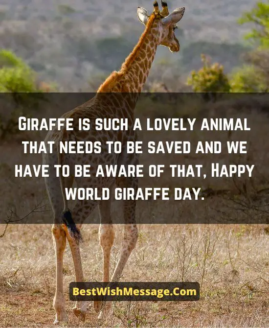 World Giraffe Day Slogans