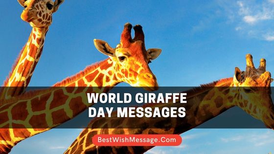 World Giraffe Day Messages