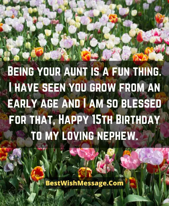15th Birthday Wishes for Nephew from Aunt