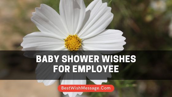 Baby Shower Wishes for Employee
