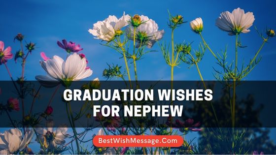 Graduation Wishes for Nephew