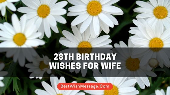 28th Birthday Wishes for Wife