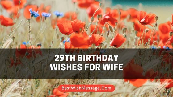 29th Birthday Wishes for Wife