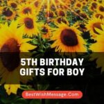 5th Birthday Gifts for Boy