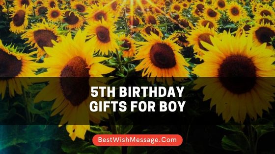 5th Birthday Gifts for Boy