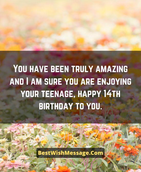 33+ Happy 14th Birthday Wishes for Brother | Messages Greetings