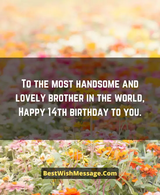 Heart Warming Birthday Wishes for Brother Turning 14