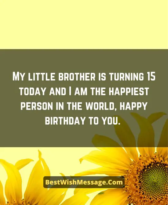 15th Birthday Wishes for Brother