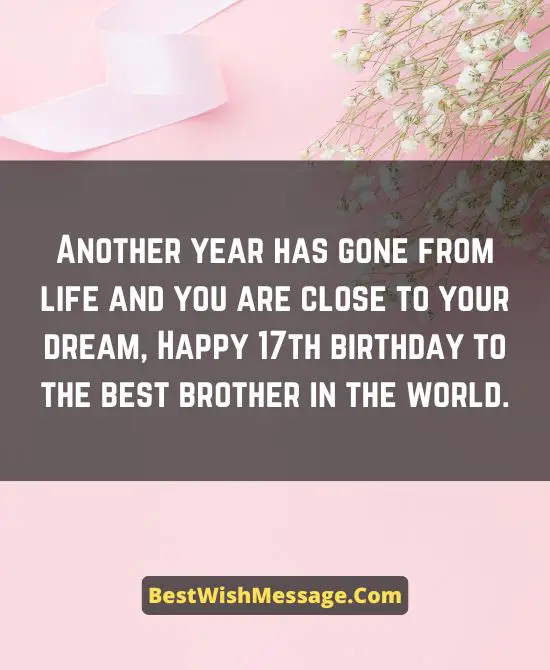 17th Birthday Wishes for Brother