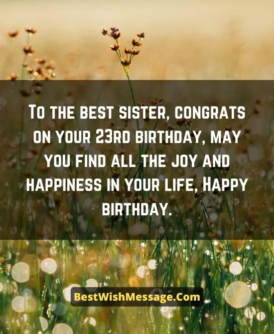 Birthday Wishes for Elder Sister Turning 23