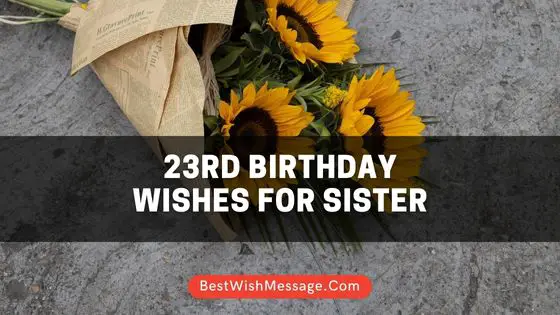 23rd Birthday Wishes for Sister