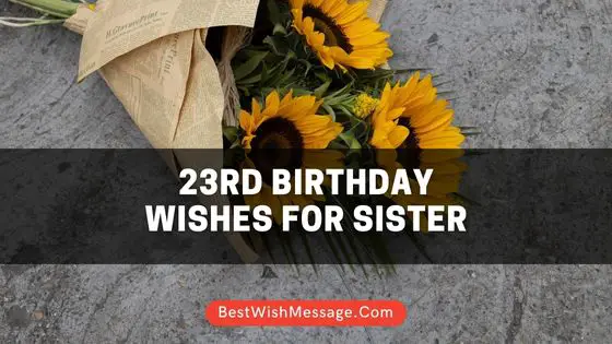 23rd Birthday Wishes for Sister | 42+ Turning 23 Messages