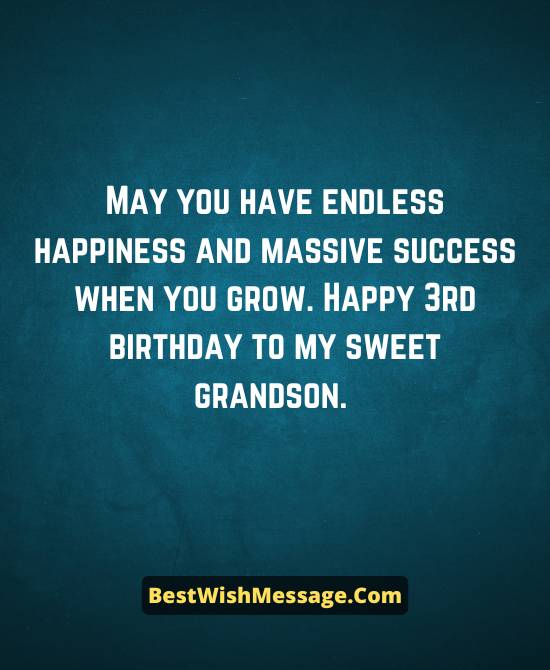 3rd Birthday Wishes for Grandson