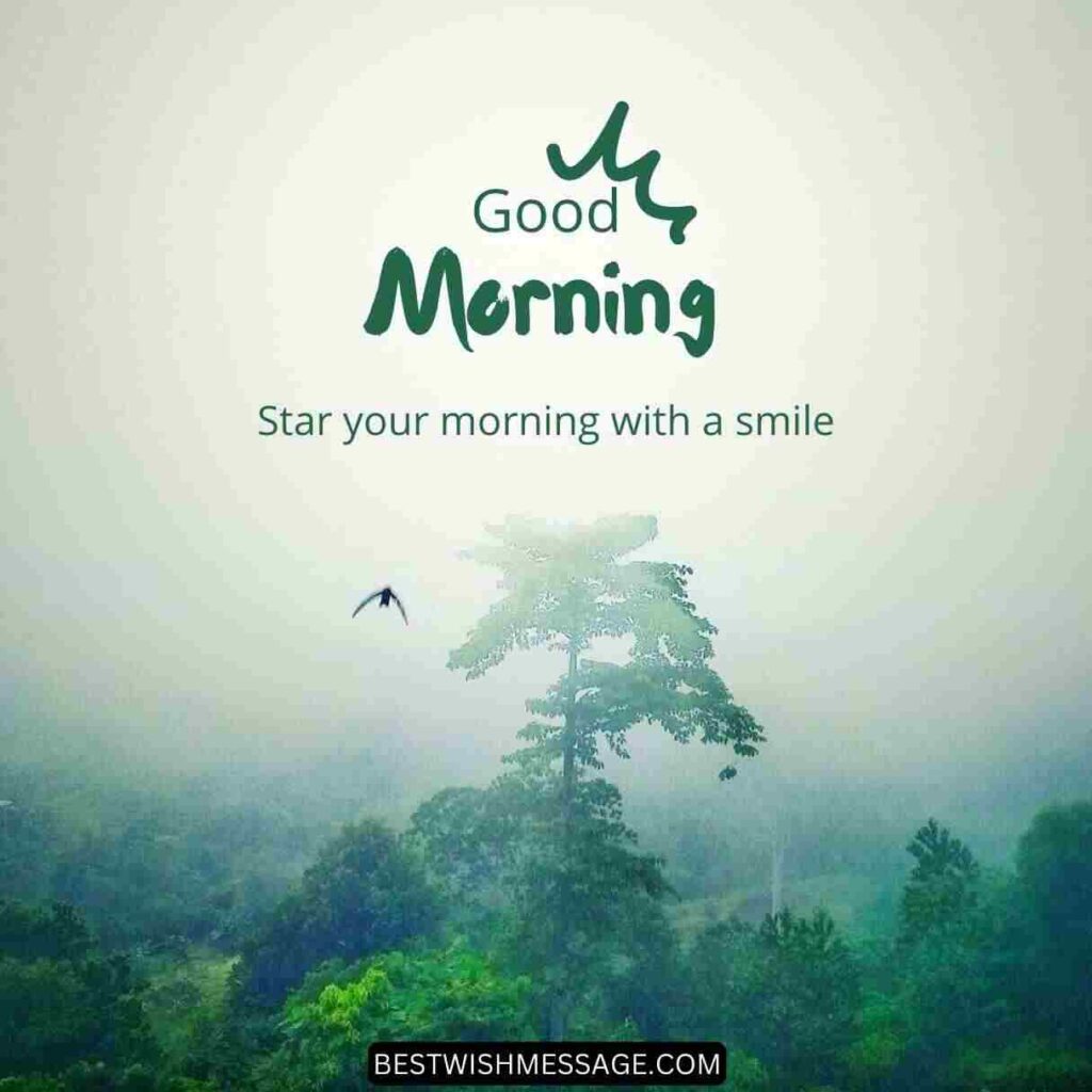 Good Morning!
